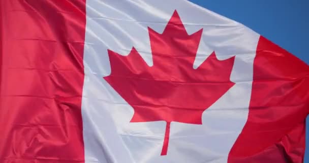 Las banderas nacionales canadienses ondeando en el viento. - Imágenes, Vídeo