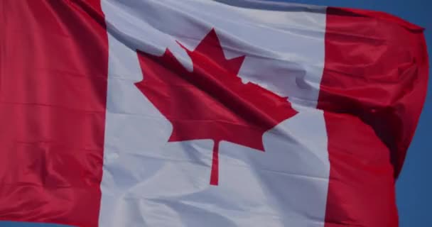 The national canadian flags waving in the wind. - Footage, Video