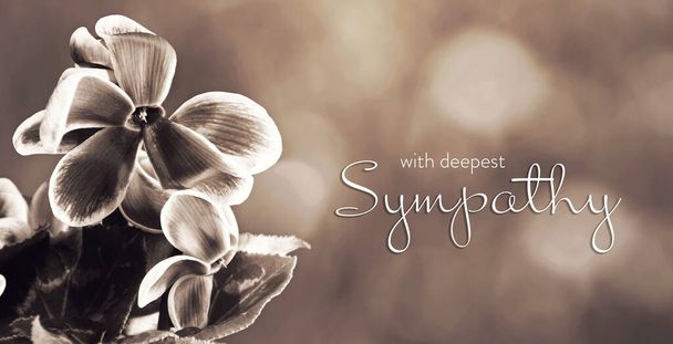 Sympathy card with cyclamen flowers - Foto, afbeelding
