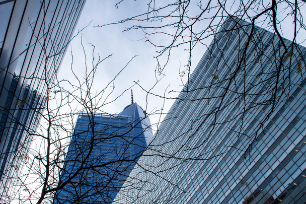 Bâtiments modernes à Tribeca
 - Photo, image