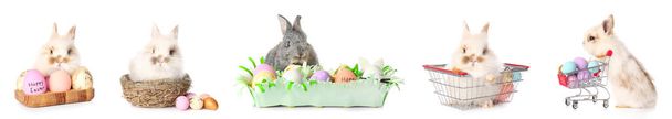 Set of cute rabbits and Easter eggs on white background - Photo, image