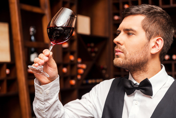 Sommelier examining glass with wine - Foto, afbeelding