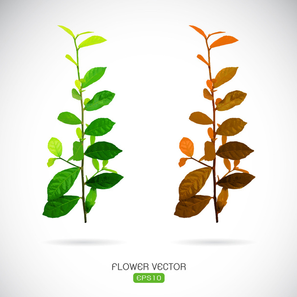 Vector image of leaves on white background - Vector, Image