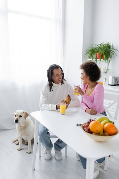 Positive african american couple talking near breakfast and labrador in kitchen  - Fotó, kép