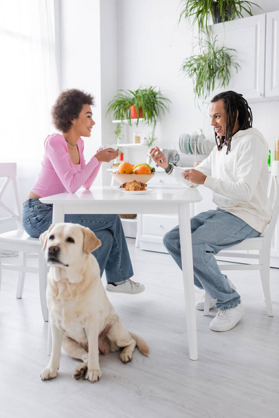 Couple afro-américain positif parlant près du petit déjeuner et chien labrador dans la cuisine  - Photo, image