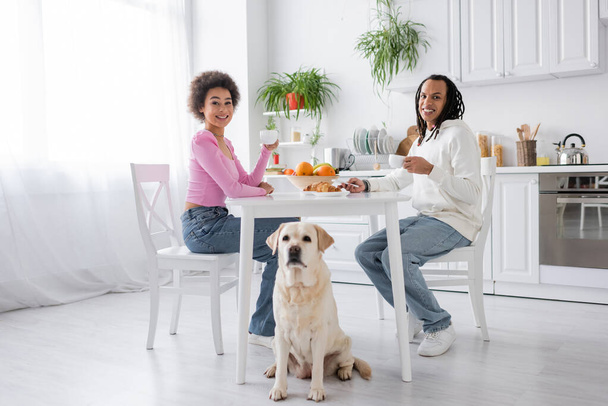 Souriant couple afro-américain tenant du café près de labrador dans la cuisine  - Photo, image