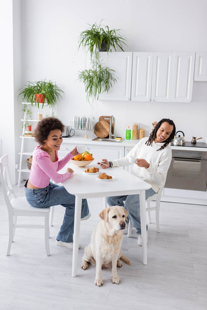 Smiling african american couple with cellphone looking at labrador during breakfast in kitchen  - Fotoğraf, Görsel
