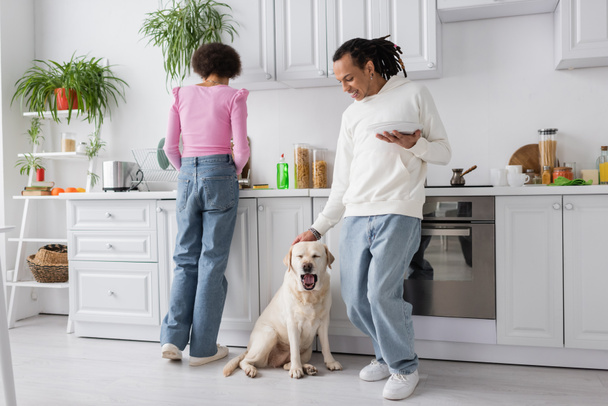 Donna afroamericana lavare i piatti vicino al fidanzato petting labrador a casa  - Foto, immagini