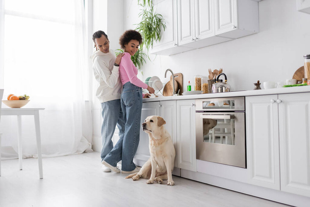Позитивная африканская пара американских моющих тарелок и глядя на лабрадора собака на кухне  - Фото, изображение