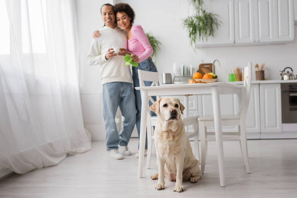 Labrador sitting near blurred african american couple with rag and coffee in kitchen  - Fotoğraf, Görsel
