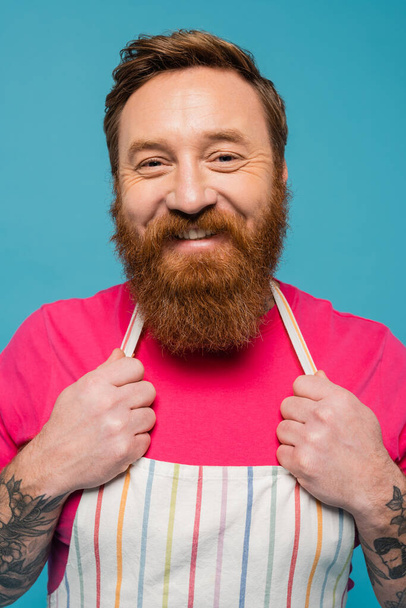 cheerful bearded man in magenta t-shirt and striped apron looking at camera isolated on blue - Fotografie, Obrázek