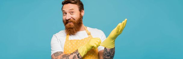 joyful bearded man in dotted apron putting on rubber gloves and smiling at camera isolated on blue, banner - Fotó, kép
