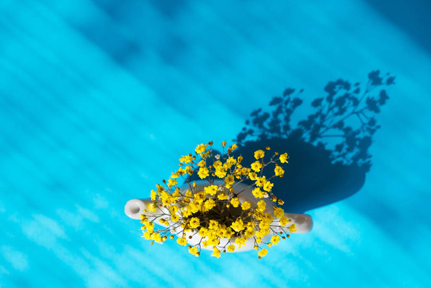 Επίπεδη σύνθεση από κίτρινα λουλούδια σε μπλε φόντο με σκιές. - Φωτογραφία, εικόνα