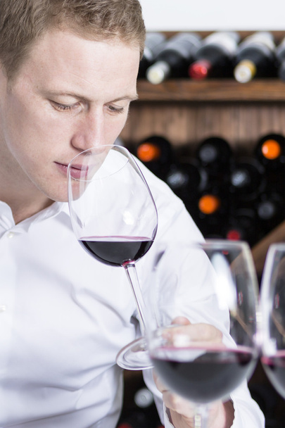 male winemaker smelling a red wineglas - Photo, Image