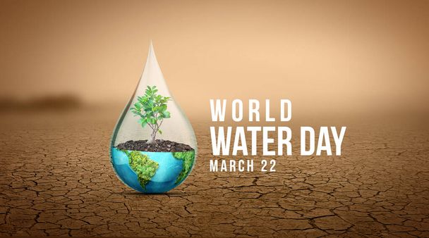 Muutoksen nopeuttaminen - Maailman vesipäivä ja maailman WC-päivä 2023 Konsepti. Joka pisaralla on väliä. Veden säästäminen ja maailman ympäristönsuojelukäsite - Ympäristöpäivä - Valokuva, kuva