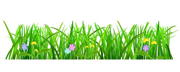 Zelená tráva - Vektor, obrázek