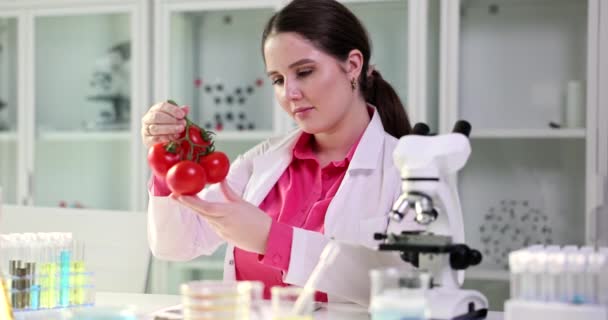 Lo scienziato esamina attentamente i pomodori tossici in laboratorio. Nitrati negli ortaggi - Filmati, video