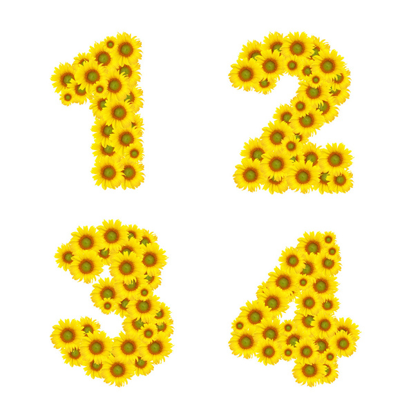 Sunflower alphabet isolated on white background - Foto, Bild