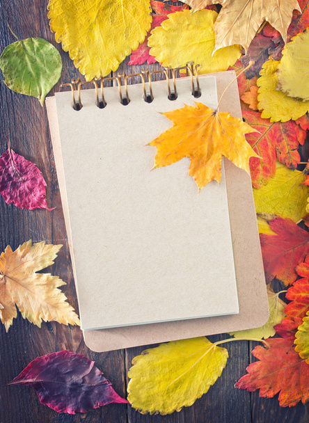 Autumn leaves and notepad - Zdjęcie, obraz