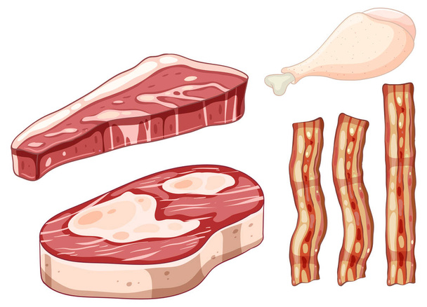 Diiferent kinds of meat collection illustration - Vector, Image