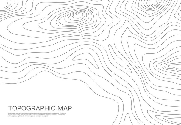 Topographic map, grid, texture, relief contour. Ocean or sea surface monochrome curve lines. Abstract vector background with geographic topology structure. Topo territory cartography with wavy stripes - Vektör, Görsel