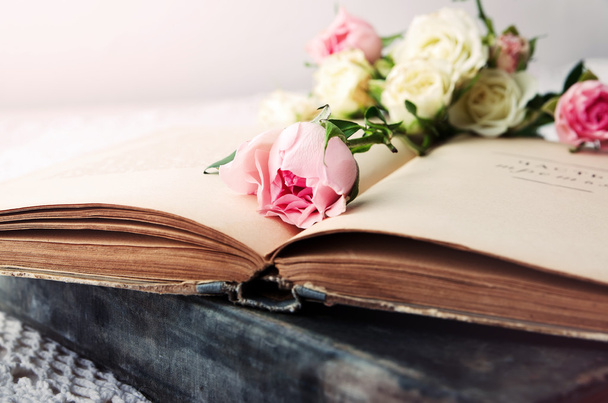 pink rose on an open old book - 写真・画像