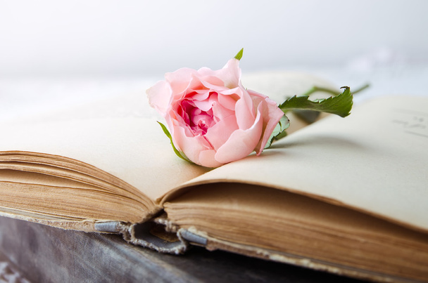Pink rose a régi nyitott könyv - Fotó, kép