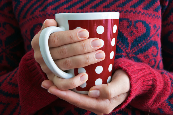 Woman holding tea cup - Foto, Imagem