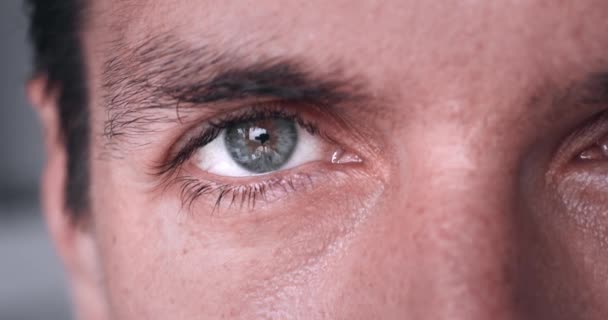 Ojo masculino gris mirando a la cámara en cámara lenta. Primer plano del ojo gris del hombre milenario en sus 30 años. Ojo macro, concierto de visión. - Imágenes, Vídeo