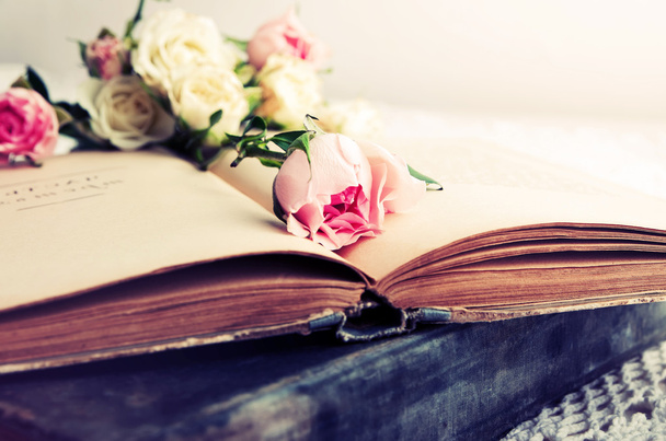 rosa sobre un viejo libro abierto
 - Foto, Imagen