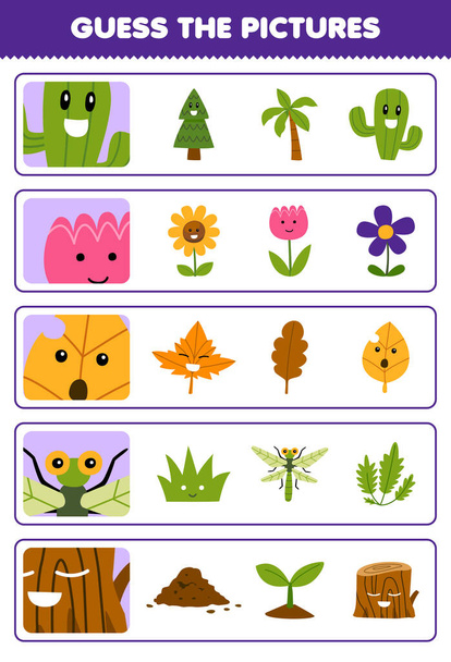 Vzdělávací hra pro děti hádat správné obrázky roztomilé kreslené kaktus květinový list vážky dřevo log tisknutelný příroda list - Vektor, obrázek
