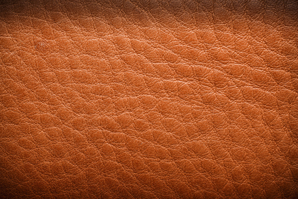 Surové kůže textury - Fotografie, Obrázek