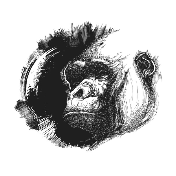 Logotipo de cabeza de mono en blanco y negro
.  - Vector, imagen