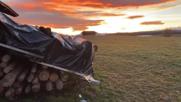 Sunset illuminates round wooden trunks collected and covered with a bag - Footage, Video