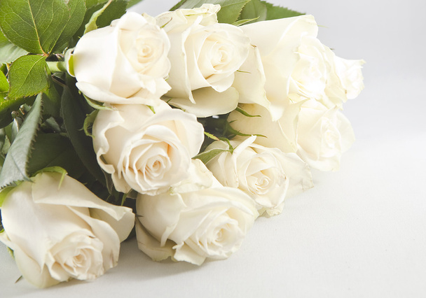 Bunch of white rose - Foto, imagen