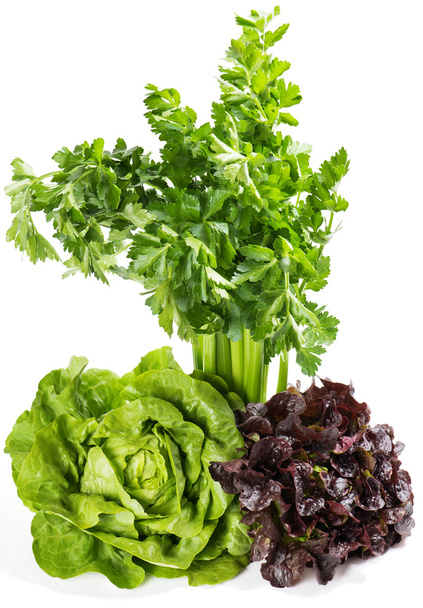 Raw green and red lettuce, bunch of celery. - Foto, Imagen
