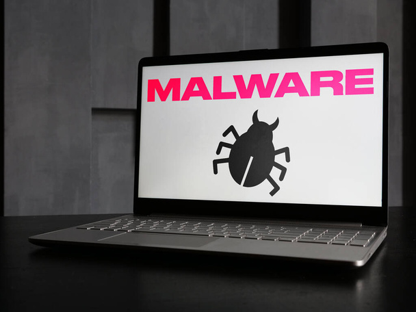 Malware or Malicious software is shown using a text - Fotografie, Obrázek