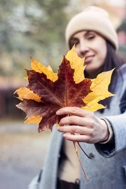 Nuori onnellinen hymyilevä brunette nainen beige neulotut hattu kimppu syksyn lehdet ulkona syksyllä puistossa. Syksyn mieliala. Pystysuora. Hämärtynyt tausta. - Valokuva, kuva