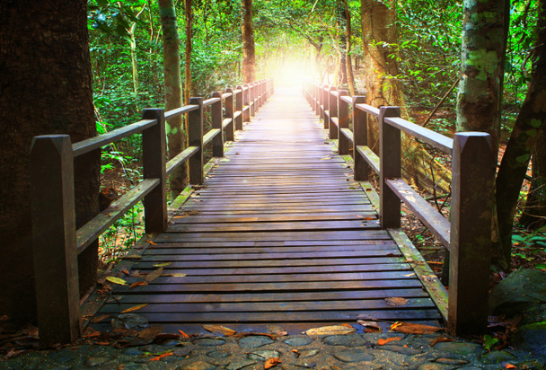 Перспектива дерев'яного мосту в глибокому лісі, що перетинає водяний потік
 - Фото, зображення