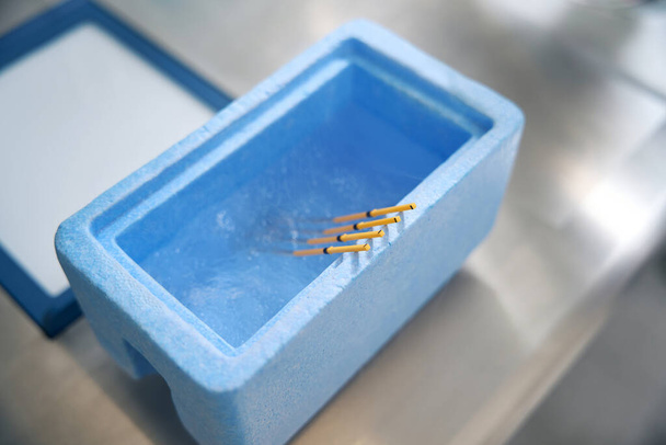 Pajitas con embriones se sumergen en cubeta azul con nitrógeno líquido, este es un método de congelación ultrarrápida de biomateriales - Foto, Imagen