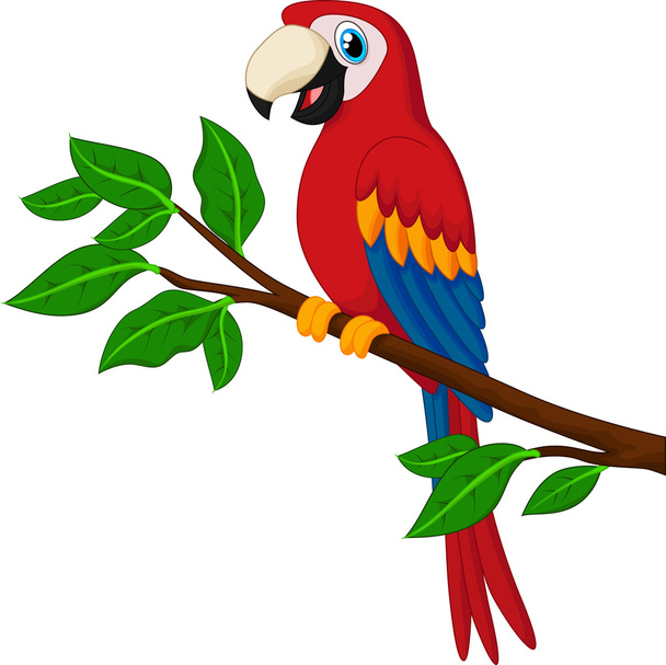 Cartoon red parrot on a branch - Vector, Image