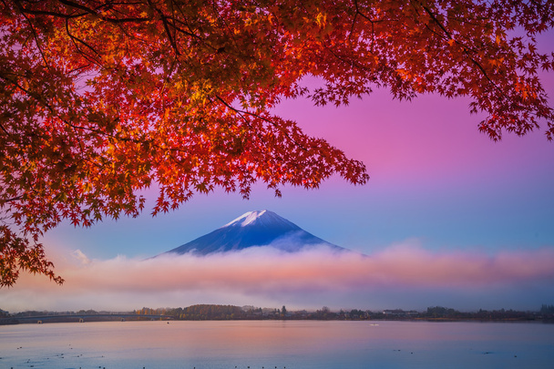 Hora Fudži v Kawakuchiko lake - Fotografie, Obrázek