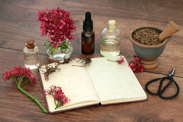 Valerian herb plant medicine with root, flowers, notebook, oil essence bottles. Natural herbal remedies to treat, anxiety, insomnia, headaches, menopause, digestive problems. - Foto, immagini