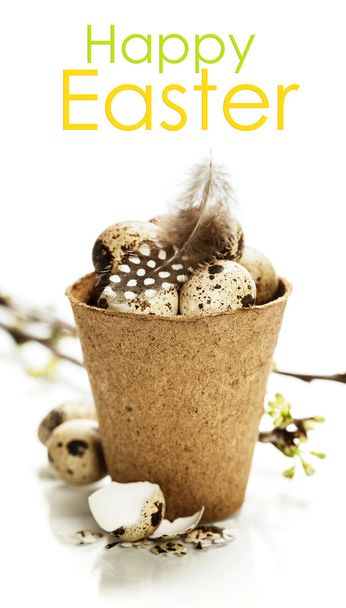quail eggs - Photo, image