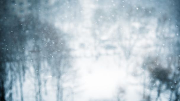 Winter blur background with snowflakes - Zdjęcie, obraz