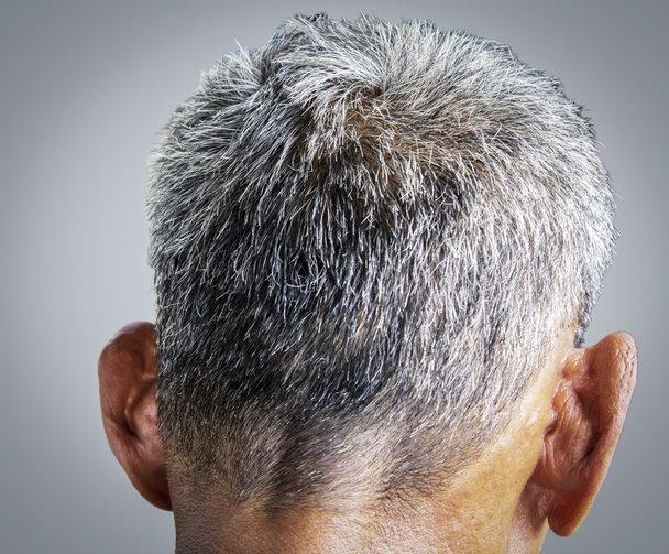 Cheveux gris - Photo, image
