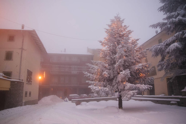 besneeuwde kerstboom, winterlandschap - Foto, afbeelding