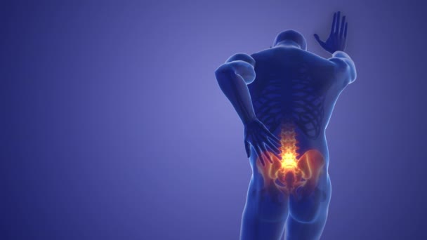 Pain in the back joint medical concept - Materiaali, video