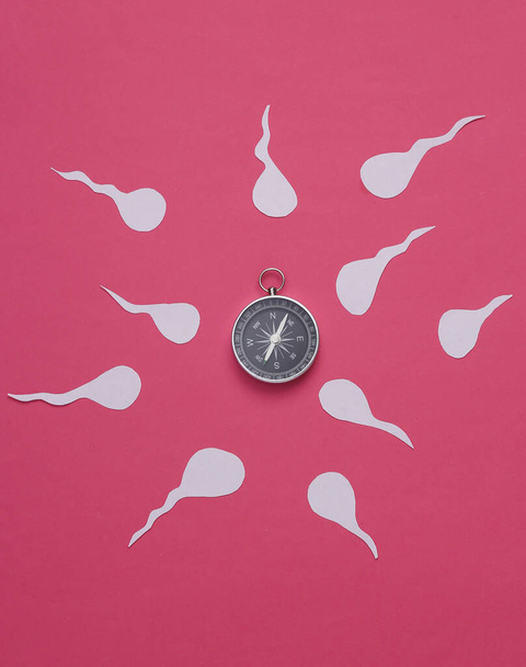 Human male spermatozoa with compass on a blue background. Reproduction system, ovulation - Photo, Image