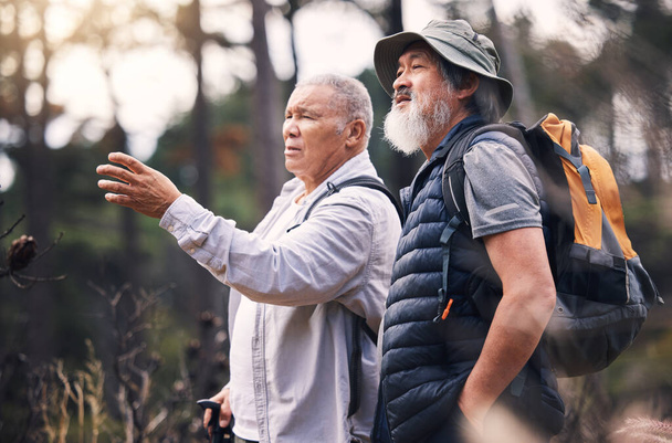 Looking, pointing and mature men in nature for hiking, retirement travel and backpacking in Nepal. Walking, adventure and senior friends on a search while bird watching in the mountains on a walk. - Photo, Image